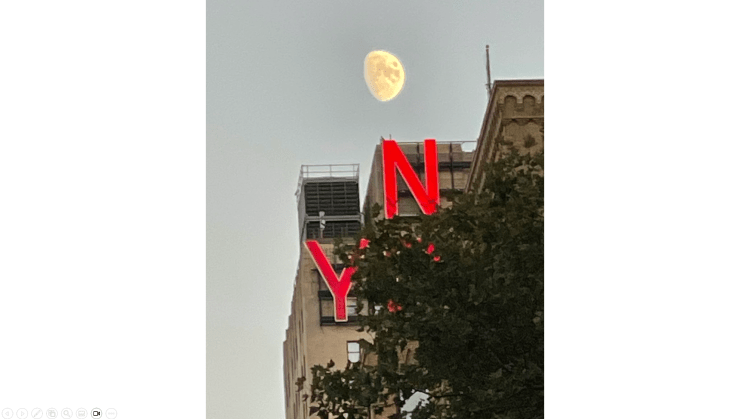 travel tourism portfolio photography taking trips around the city new york building skyscraper high rise of the moon see the tree live photo image 01